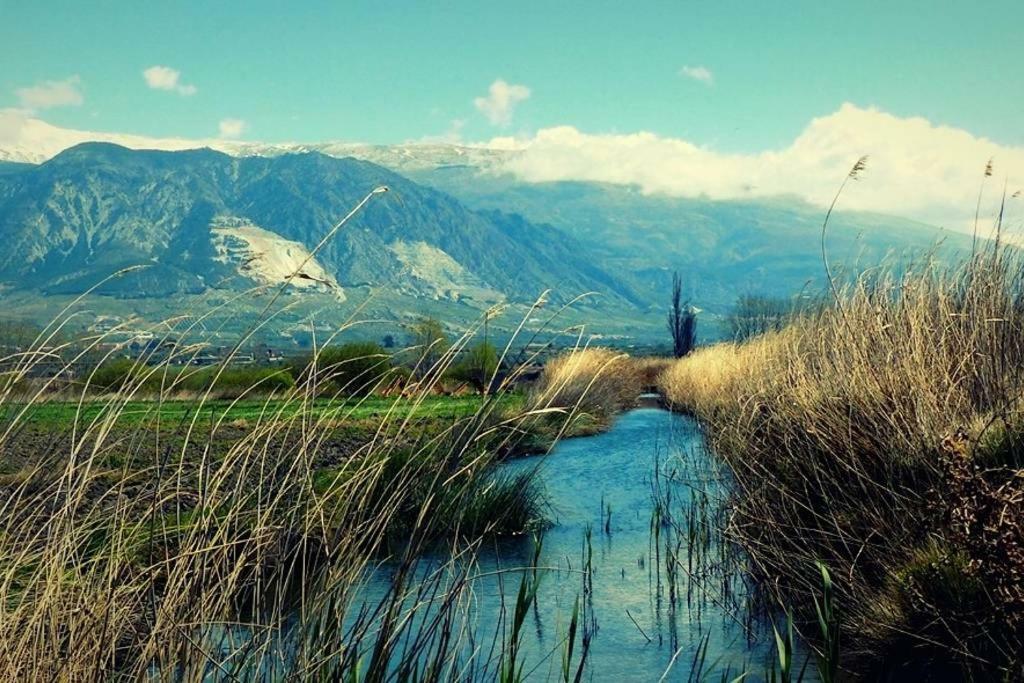 Cortijo De Los Geraneos Padul エクステリア 写真